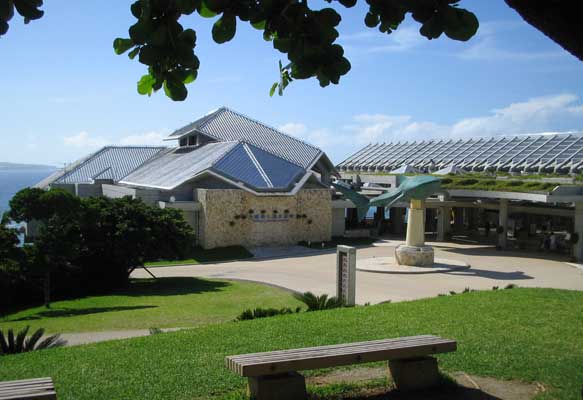 美ら海水族館